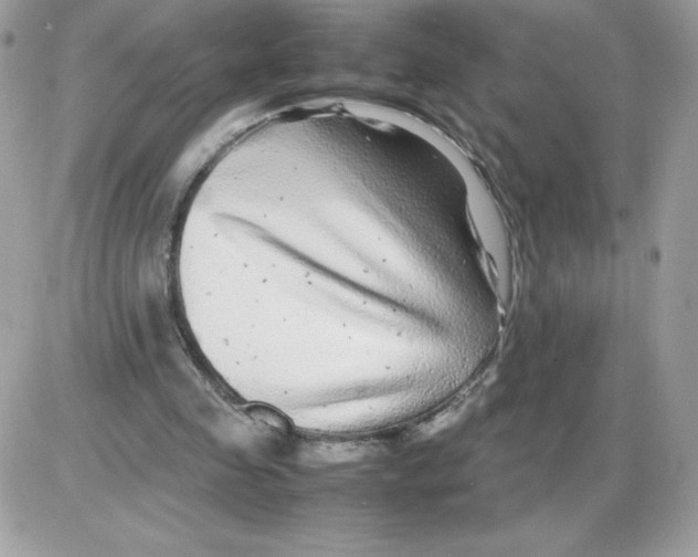 X0000085830341200704132043