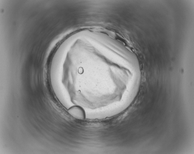 X0000085830342200704132043