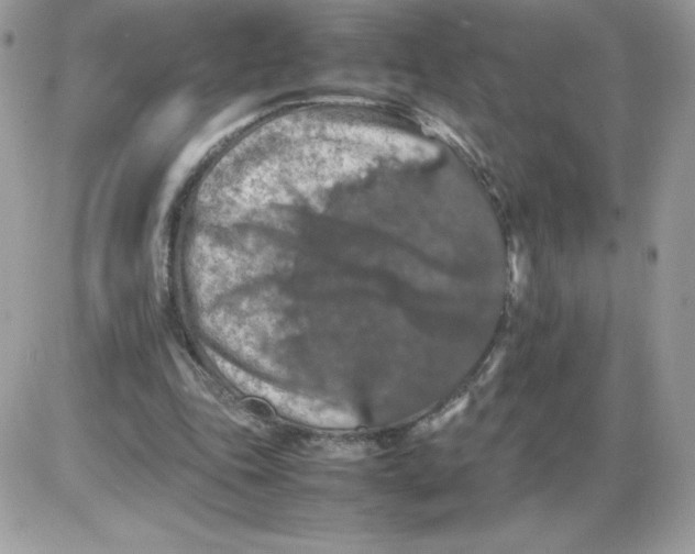 X0000085830343200704132043