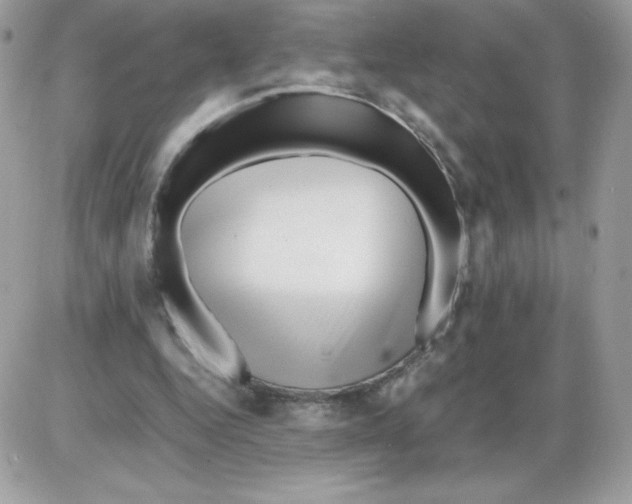 X0000085830344200704132043