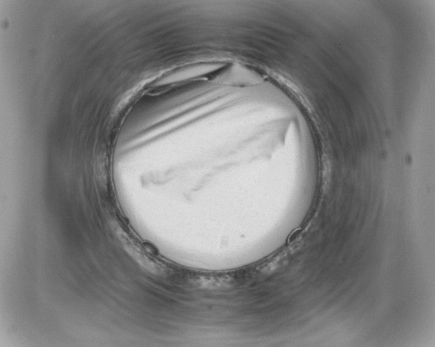 X0000085830345200704132043