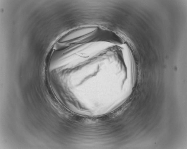 X0000085830346200704132043