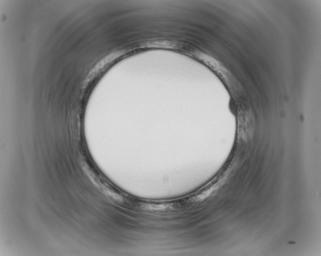 X0000085830349200704132043