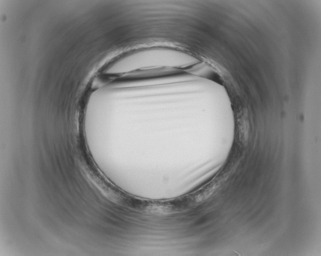 X0000085830350200704132043