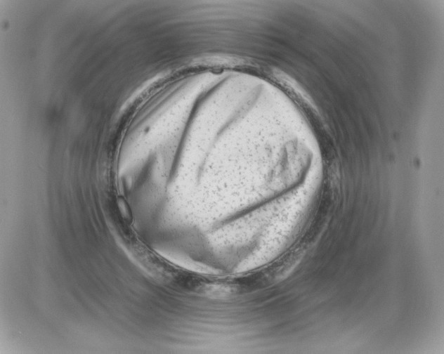 X0000085830352200704132043