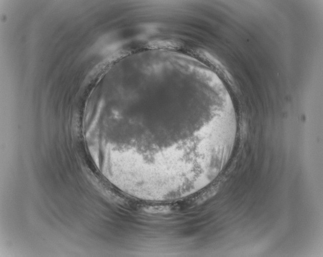 X0000085830353200704132043