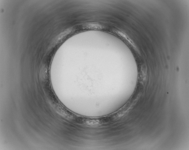 X0000085830355200704132043