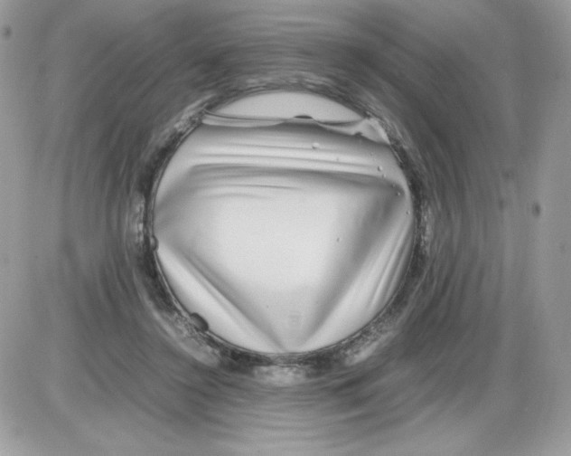 X0000085830356200704132043