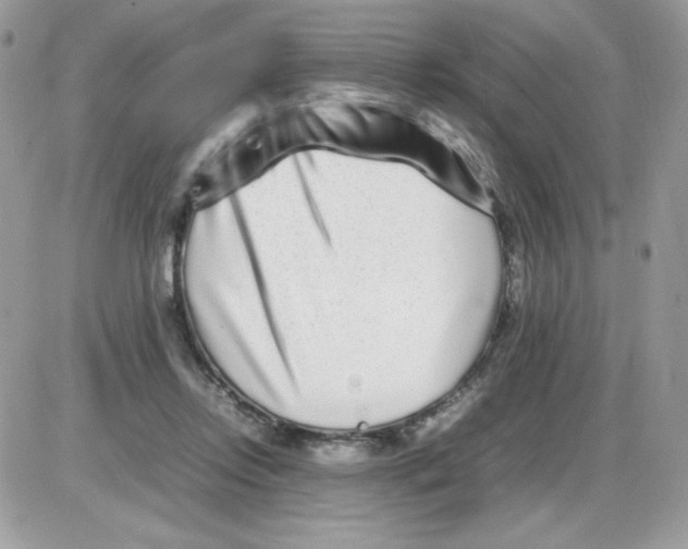 X0000085830358200704132043