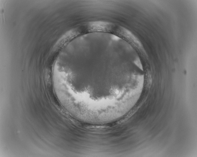 X0000085830361200704132043