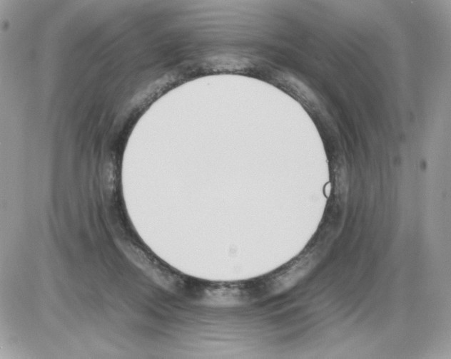 X0000085830362200704132043