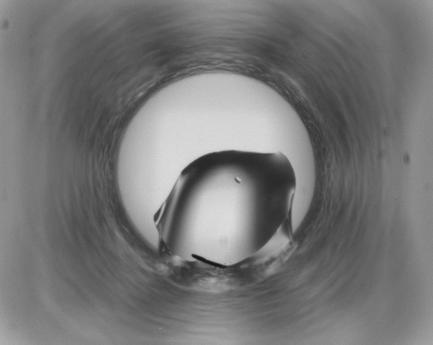 X0000085830364200704132044