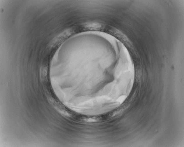X0000085830365200704132044