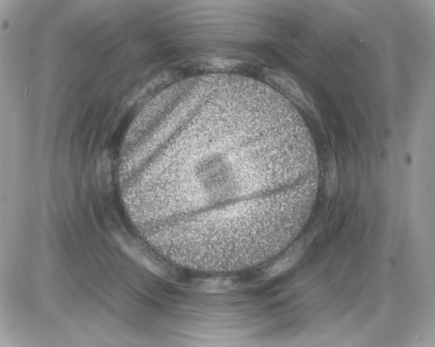 X0000085830366200704132044