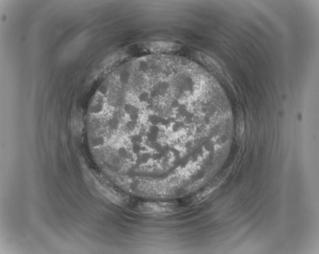 X0000085830367200704132044
