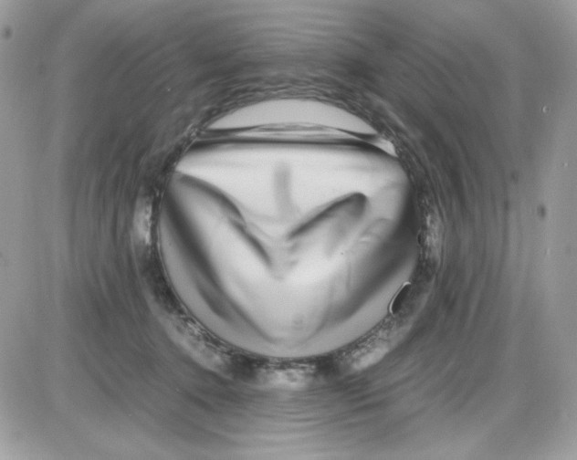 X0000085830368200704132044