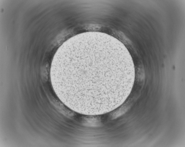 X0000085830370200704132044
