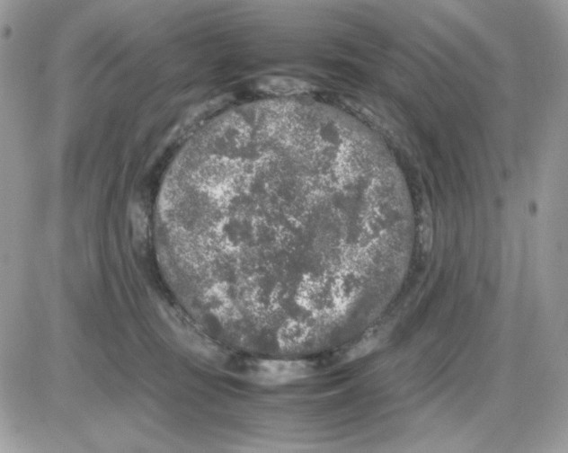 X0000085830371200704132044