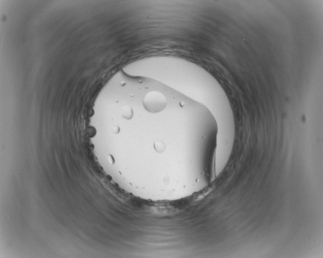 X0000085830372200704132044