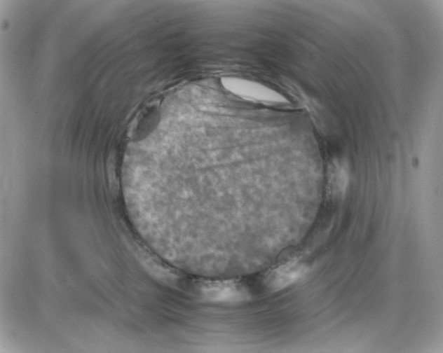 X0000085830377200704132044