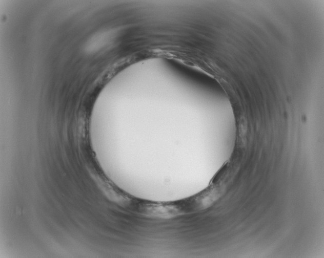 X0000085830379200704132044