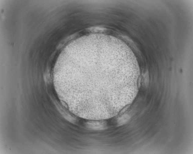 X0000085830381200704132044