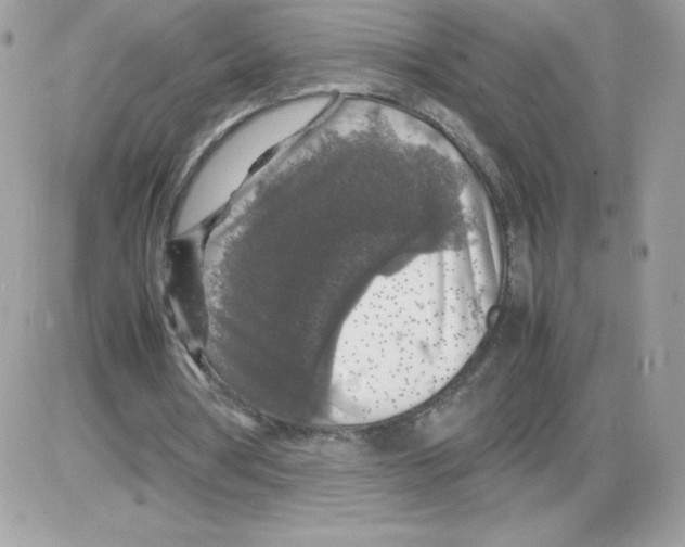 X0000085830386200704132043