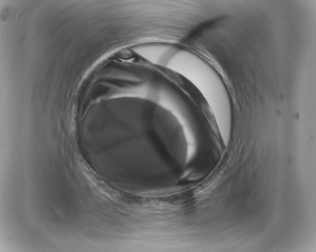 X0000085830387200704132043