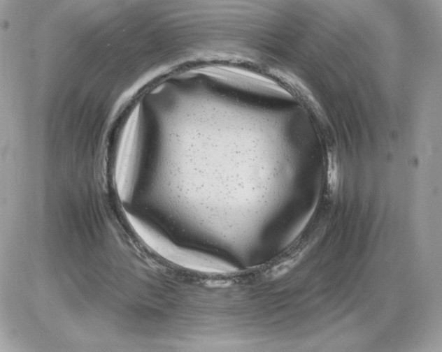 X0000085830388200704132043