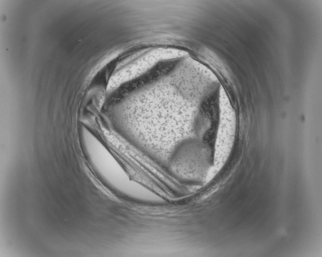 X0000085830389200704132043
