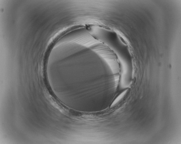 X0000085830391200704132043