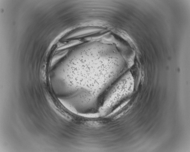 X0000085830392200704132043