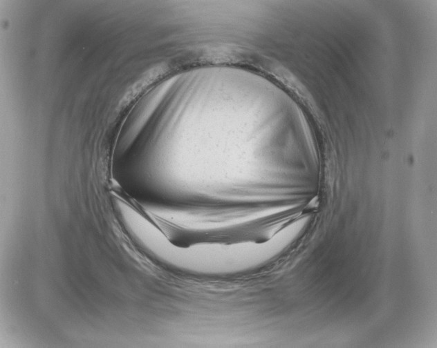 X0000085830393200704132043
