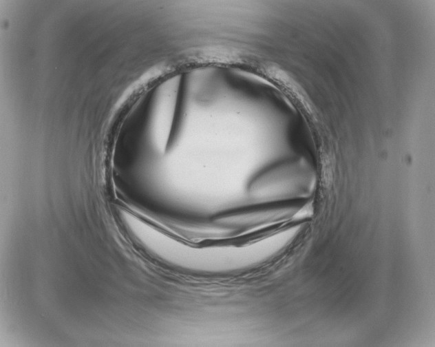 X0000085830395200704132043