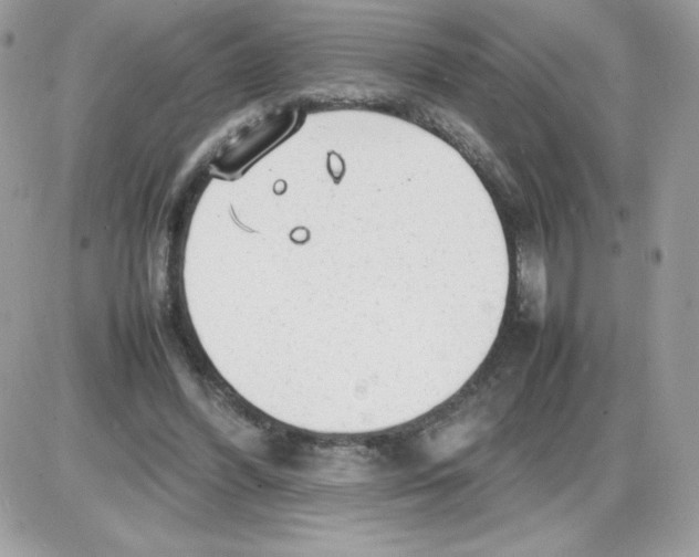 X0000085830396200704132043