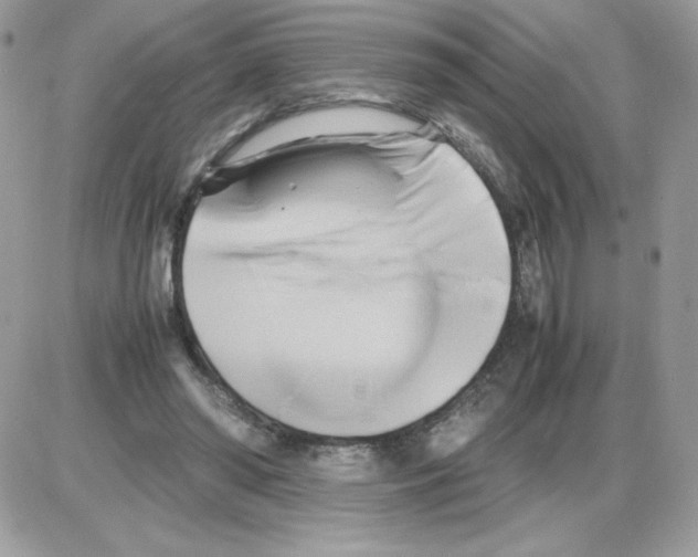 X0000085830398200704132043