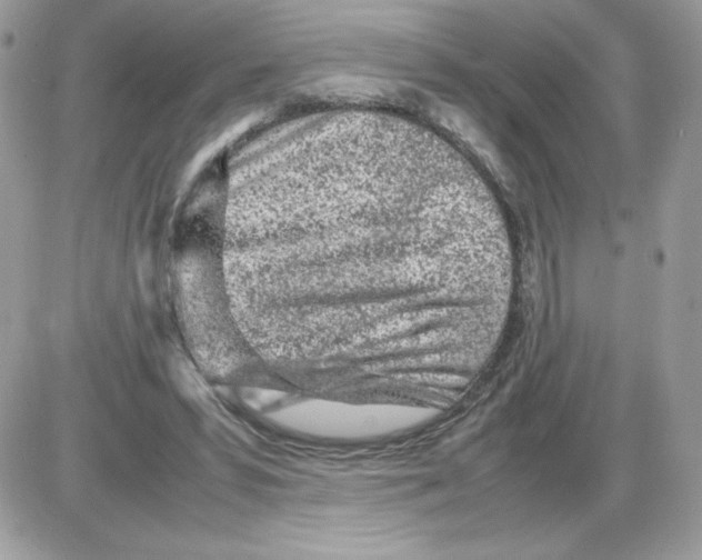 X0000085830399200704132043