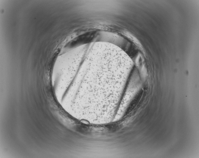 X0000085830401200704132043