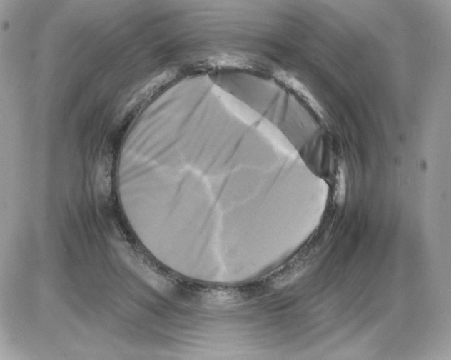 X0000085830402200704132043