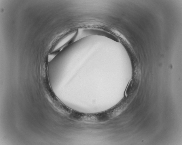 X0000085830403200704132043