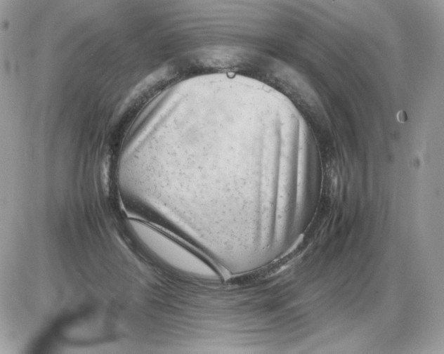 X0000085830404200704132043