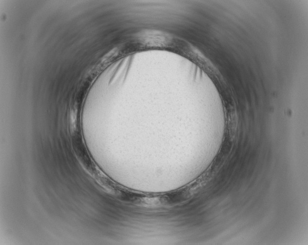X0000085830406200704132043
