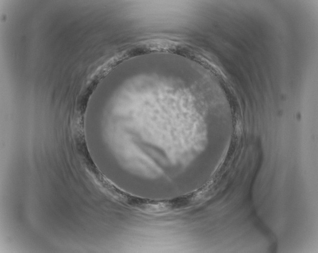 X0000085830411200704132043