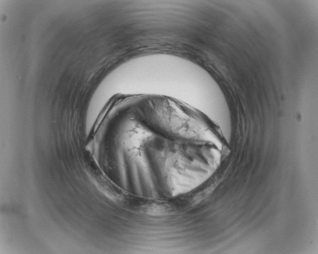 X0000085830412200704132043