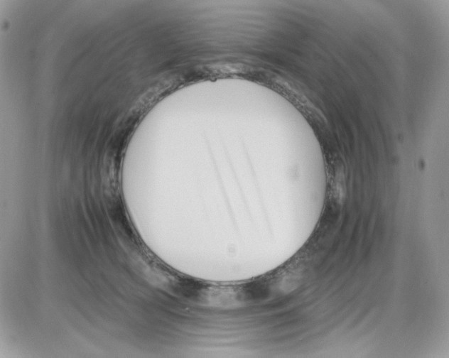 X0000085830418200704132042