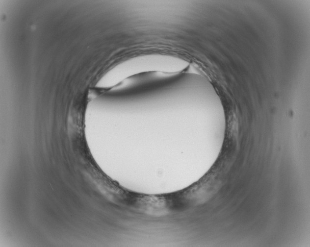 X0000085830421200704132042