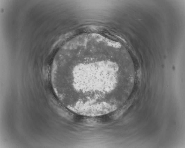 X0000085830423200704132042