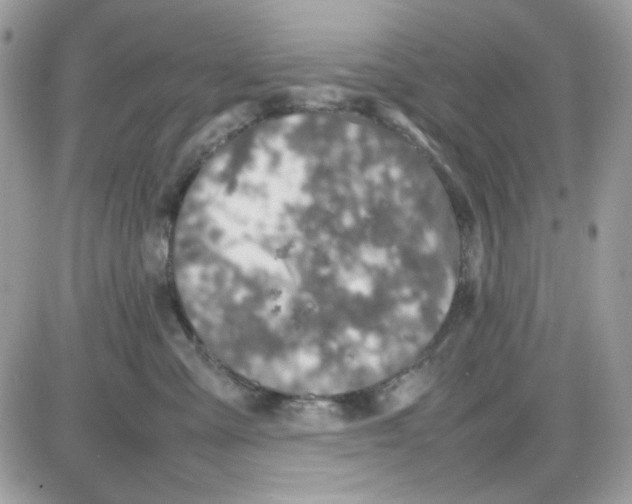 X0000085830427200704132042