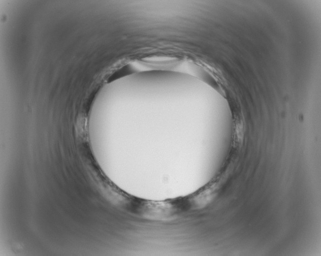 X0000085830429200704132042