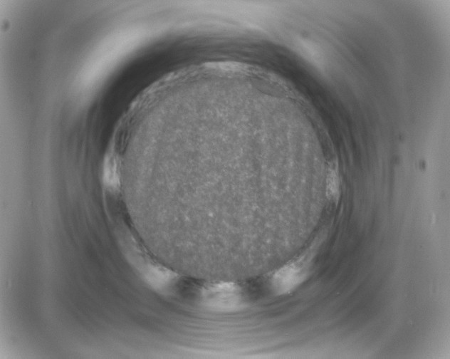 X0000085830431200704132042